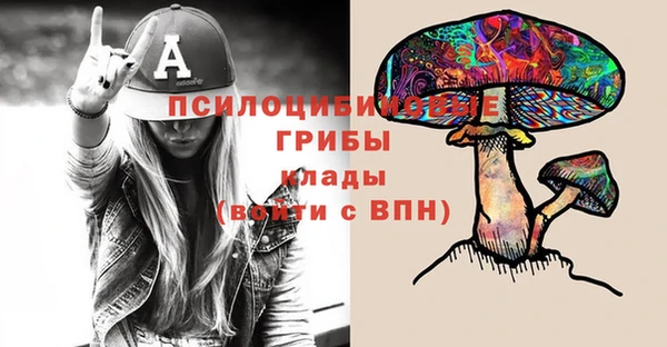 2c-b Богданович